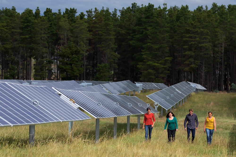 Solar panels in field