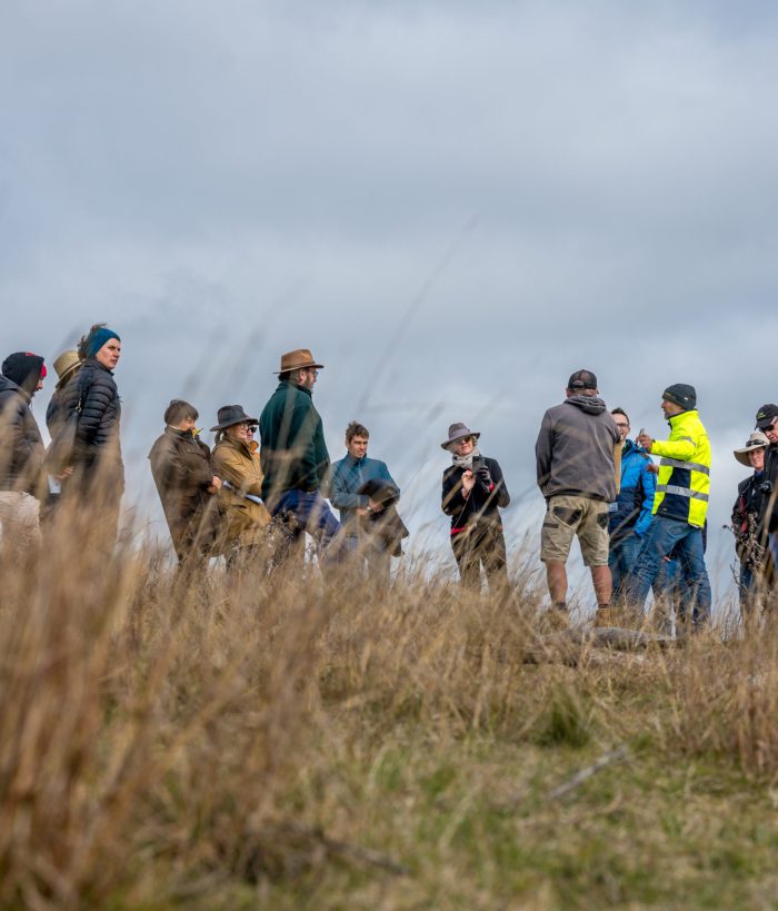Building_better_biodiversity_on_solar_farms (2)