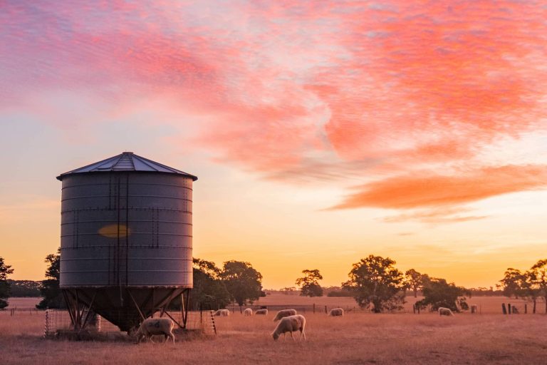 hamish-1-siDT315Ko-unsplash